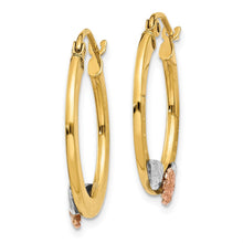 Load image into Gallery viewer, LADIES'S EARRING - HOOPS | TL745