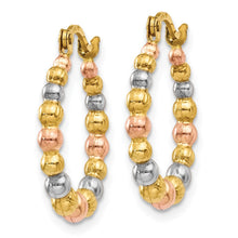 Load image into Gallery viewer, LADIES'S EARRING - HOOPS | TL759