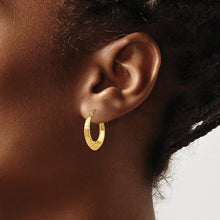 Load image into Gallery viewer, LADIES'S EARRING - HOOPS | TL778