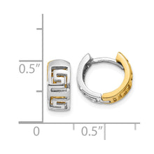 Load image into Gallery viewer, LADIES'S EARRING - HOOPS | TM590