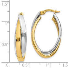 Load image into Gallery viewer, LADIES'S EARRING - HOOPS | TM658