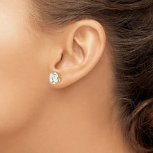 Load image into Gallery viewer, LADIES'S EARRING - CLASSIC | XD33CZ