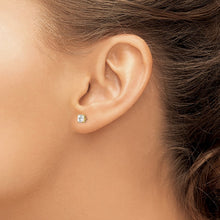 Load image into Gallery viewer, LADIES'S EARRING - CLASSIC | XD37CZ