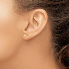 Load image into Gallery viewer, LADIES'S EARRING - CLASSIC | XD6CZ