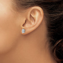 Load image into Gallery viewer, LADIES'S EARRING - CLASSIC | XE104WCZ