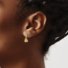 Load image into Gallery viewer, LADIES'S EARRING - CLASSIC | XE1692CI