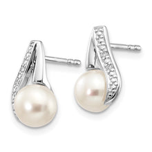 Load image into Gallery viewer, LADIES'S EARRING - CLASSIC | XE1789P_A