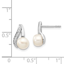 Load image into Gallery viewer, LADIES'S EARRING - CLASSIC | XE1789P_A