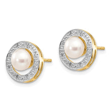 Load image into Gallery viewer, LADIES'S EARRING - CLASSIC | XE1972P_A