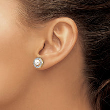 Load image into Gallery viewer, LADIES'S EARRING - CLASSIC | XE1972P_A