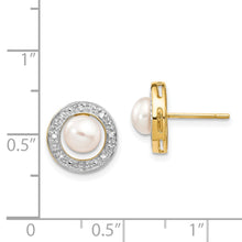 Load image into Gallery viewer, LADIES'S EARRING - CLASSIC | XE1972P_A