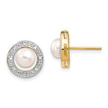 Load image into Gallery viewer, LADIES'S EARRING - CLASSIC | XE1972P_A