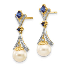 Load image into Gallery viewer, LADIES'S EARRING - CLASSIC | XE2513AA