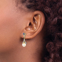 Load image into Gallery viewer, LADIES'S EARRING - CLASSIC | XE2513AA