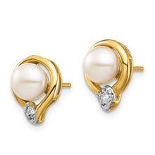 Load image into Gallery viewer, LADIES'S EARRING - CLASSIC | XE3234AA