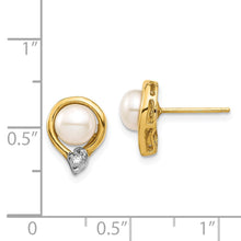 Load image into Gallery viewer, LADIES'S EARRING - CLASSIC | XE3234AA