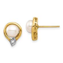 Load image into Gallery viewer, LADIES'S EARRING - CLASSIC | XE3234AA