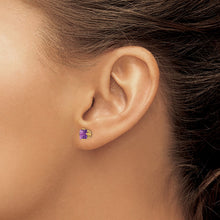 Load image into Gallery viewer, LADIES'S EARRING - CLASSIC | XE61AM