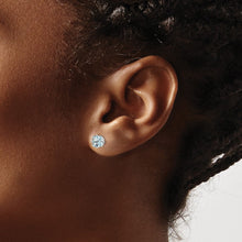Load image into Gallery viewer, LADIES'S EARRING - CLASSIC | XE61WAQ-B