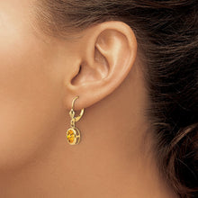 Load image into Gallery viewer, LADIES'S EARRING - CLASSIC | XLB107CI