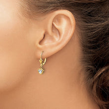Load image into Gallery viewer, LADIES'S EARRING - CLASSIC | XLB109CZ