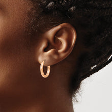 Load image into Gallery viewer, LADIES'S EARRING - HOOPS | XY1251