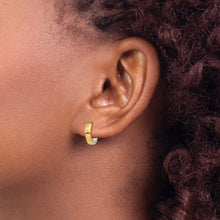 Load image into Gallery viewer, LADIES'S EARRING - HOOPS | Y7904