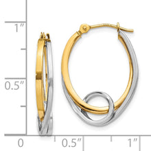 Load image into Gallery viewer, LADIES'S EARRING - HOOPS | YE1024