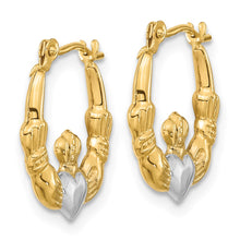 Load image into Gallery viewer, LADIES'S EARRING - HOOPS | YE1788