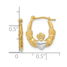 Load image into Gallery viewer, LADIES'S EARRING - HOOPS | YE1788