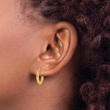 Load image into Gallery viewer, LADIES'S EARRING - HOOPS | YE1904