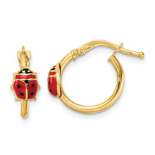 Load image into Gallery viewer, LADIES'S EARRING - HOOPS | YE2088