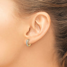 Load image into Gallery viewer, LADIES&#39;S EARRING - HOOPS | EM4263-025-YA
