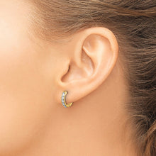 Load image into Gallery viewer, LADIES&#39;S EARRING - HOOPS | EM4263-033-YA
