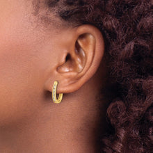 Load image into Gallery viewer, LADIES&#39;S EARRING - HOOPS | EM5368-025-YA
