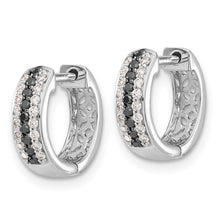 Load image into Gallery viewer, LADIES&#39;S EARRING - HOOPS | EM5406-BK-033-WA
