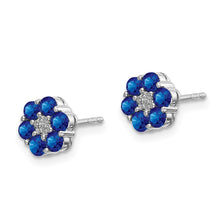 Load image into Gallery viewer, LADIES&#39;S EARRING - CLASSIC | EM5609-SA-001-WA
