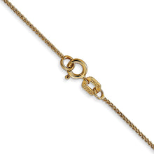 Load image into Gallery viewer, GOLD CHAIN | PEN160

