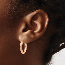 Load image into Gallery viewer, LADIES&#39;S EARRING - HOOPS | T1015
