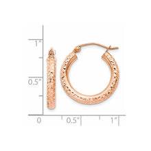 Load image into Gallery viewer, LADIES&#39;S EARRING - HOOPS | T1015
