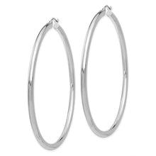 Load image into Gallery viewer, LADIES&#39;S EARRING - HOOPS | T857
