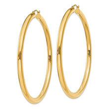 Load image into Gallery viewer, LADIES&#39;S EARRING - HOOPS | T955
