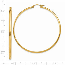 Load image into Gallery viewer, LADIES&#39;S EARRING - HOOPS | TA238
