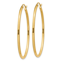 Load image into Gallery viewer, LADIES&#39;S EARRING - HOOPS | TA259
