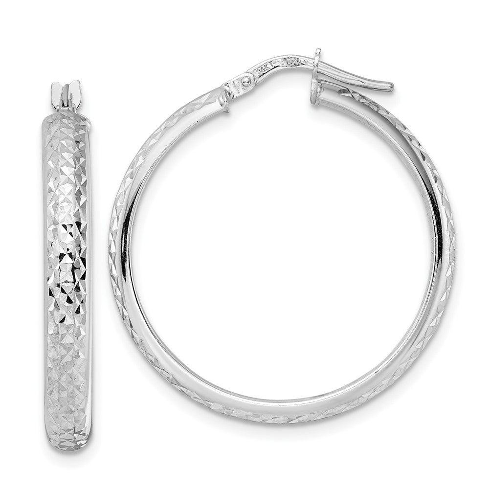 LADIES'S EARRING - HOOPS | TC1027W