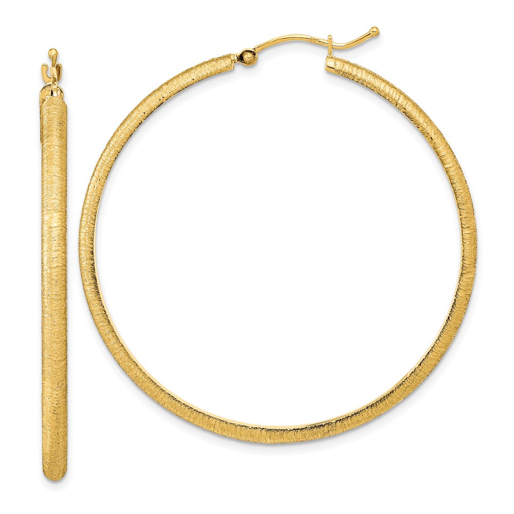 LADIES'S EARRING - HOOPS | TC1039