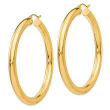 Load image into Gallery viewer, LADIES&#39;S EARRING - HOOPS | TC193L
