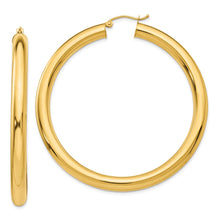 Load image into Gallery viewer, LADIES&#39;S EARRING - HOOPS | TC193L
