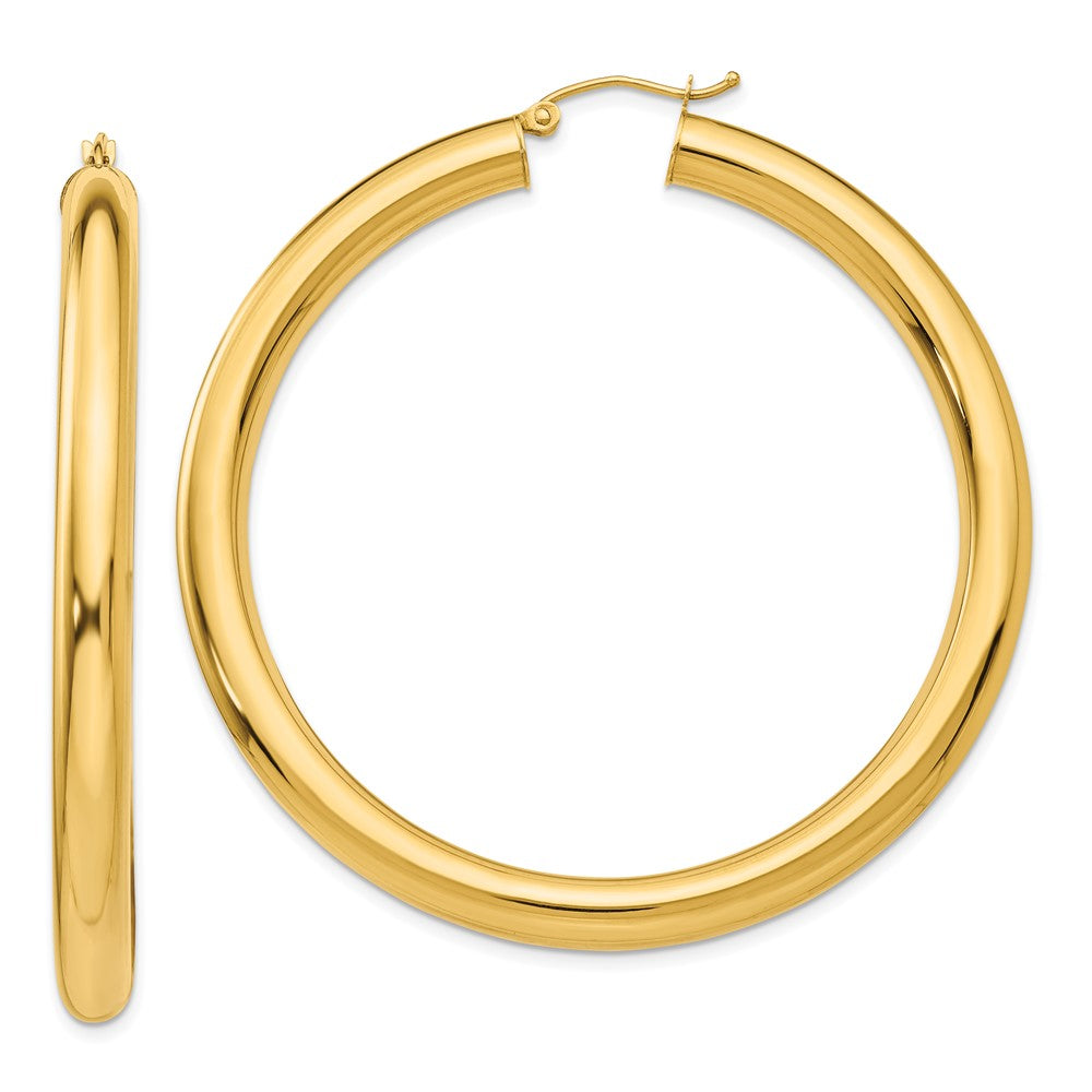 LADIES'S EARRING - HOOPS | TC193L