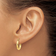 Load image into Gallery viewer, LADIES&#39;S EARRING - HOOPS | TC267
